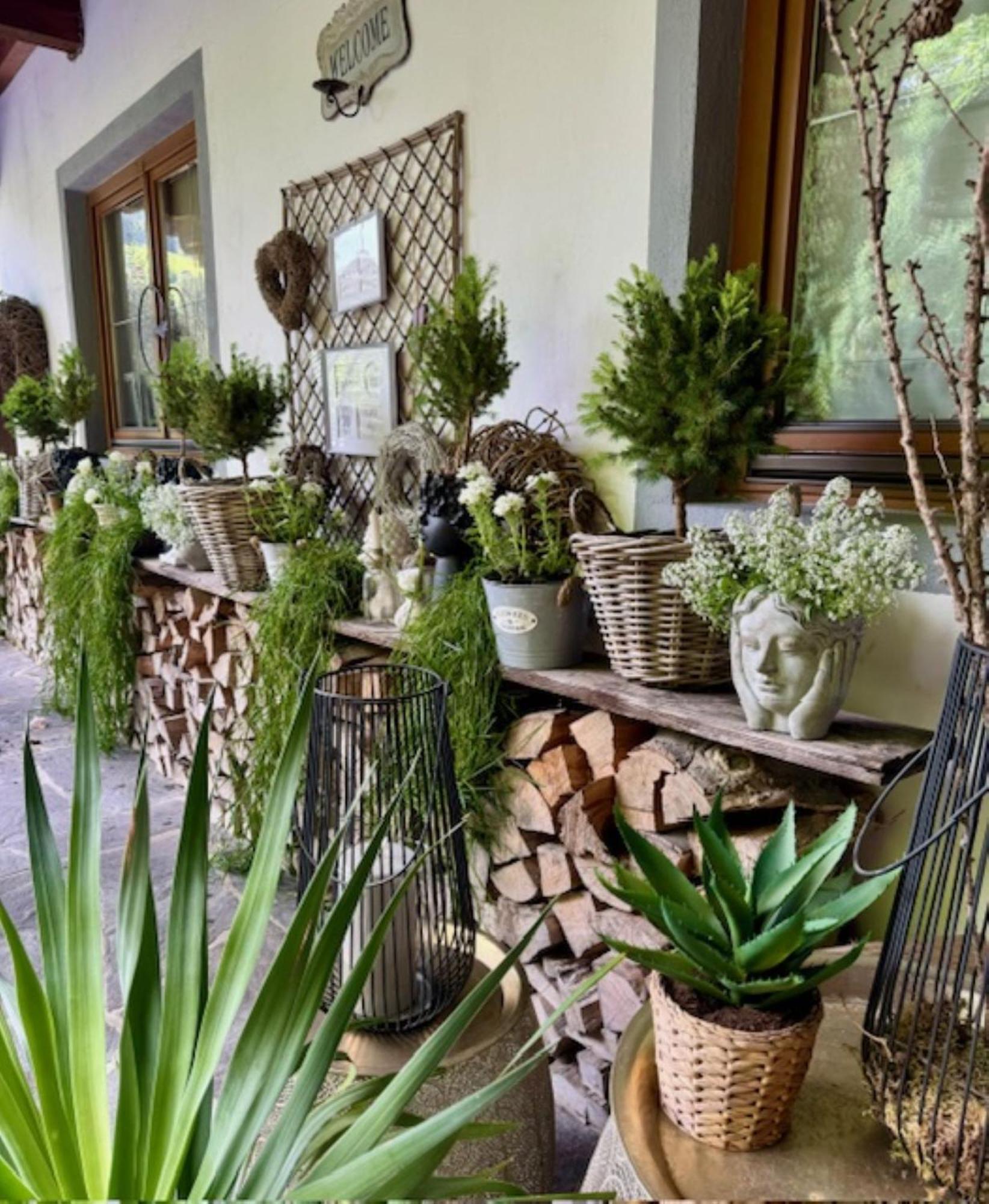 Appartements Im Weiherhof, อัลพ์บาค ภายนอก รูปภาพ